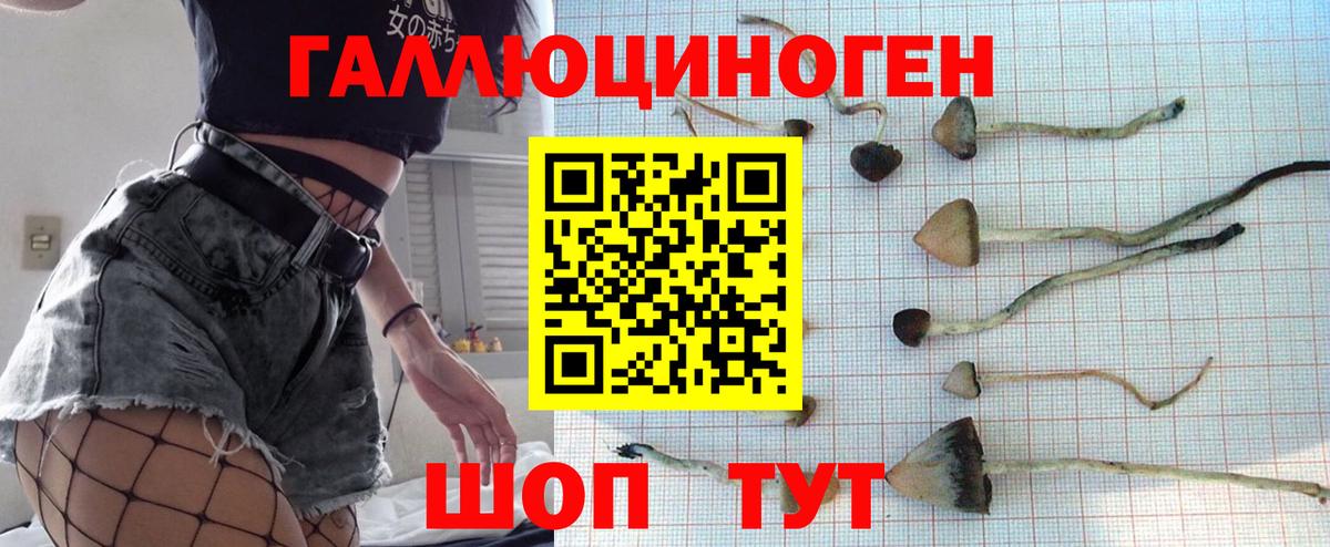 Галлюциногенные грибы Cubensis  Псилоцибиновые грибы Psilocybe  Людиново  Вход с VPN 