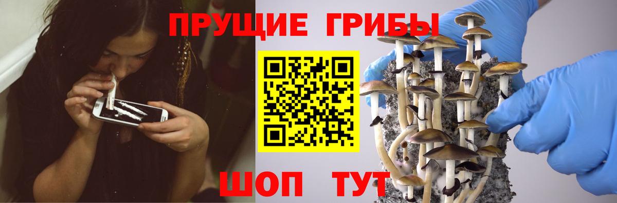 Галлюциногенные грибы Magic Shrooms Людиново